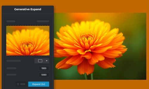 Close-up of a vibrant orange marigold flower against a blurred green background.