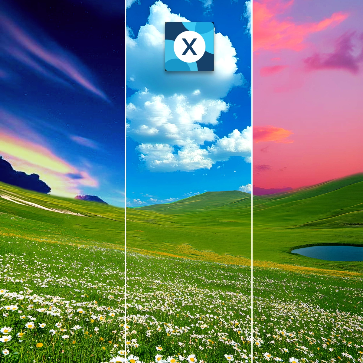 Triptych of rolling green hills with daisies, under transitioning sky from day to starry night, error icon center.