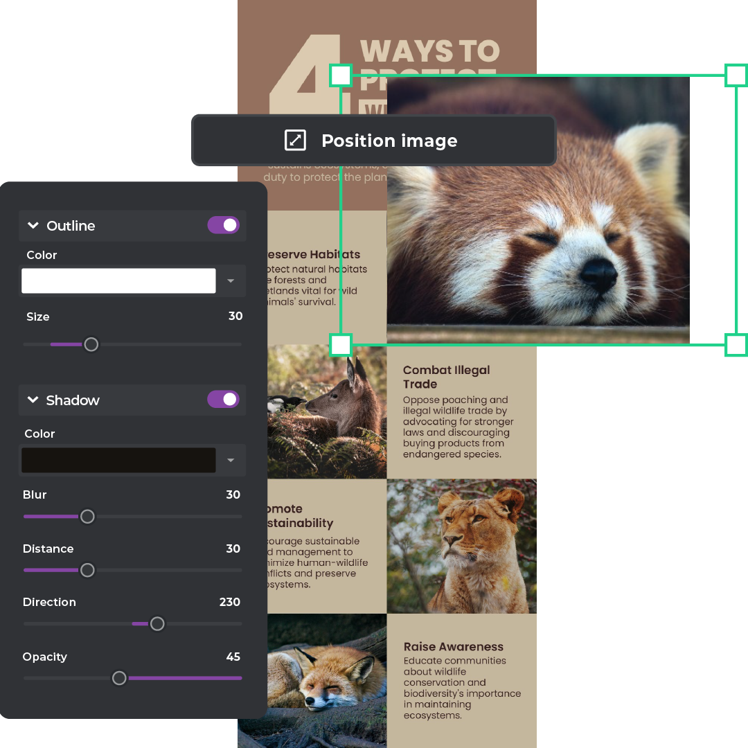 Infographic with animal images showing four ways to protect wildlife and promote conservation awareness