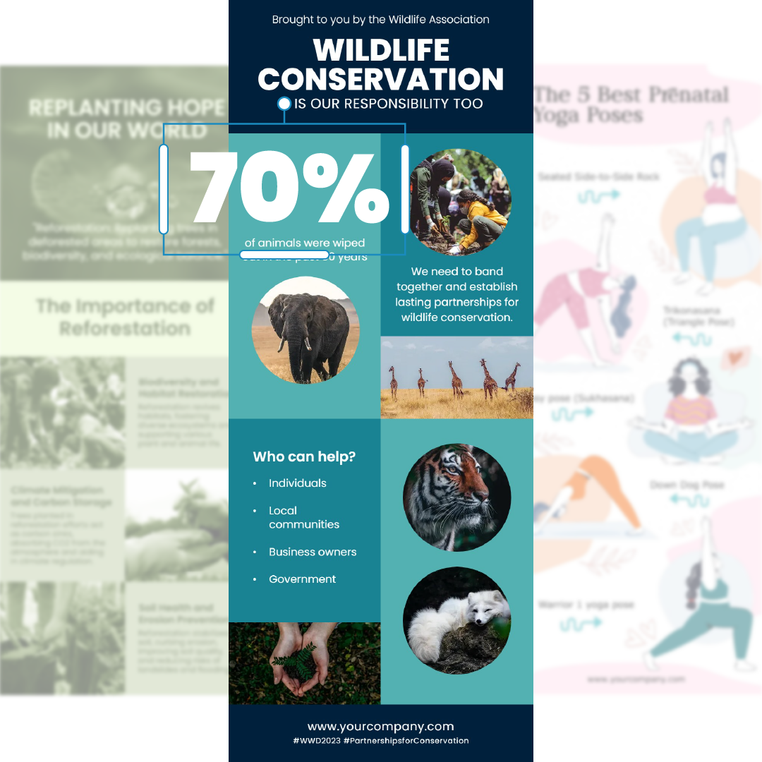 Infographic showing wildlife facts, animals, and conservation efforts encouraging community partnerships to protect biodiversity