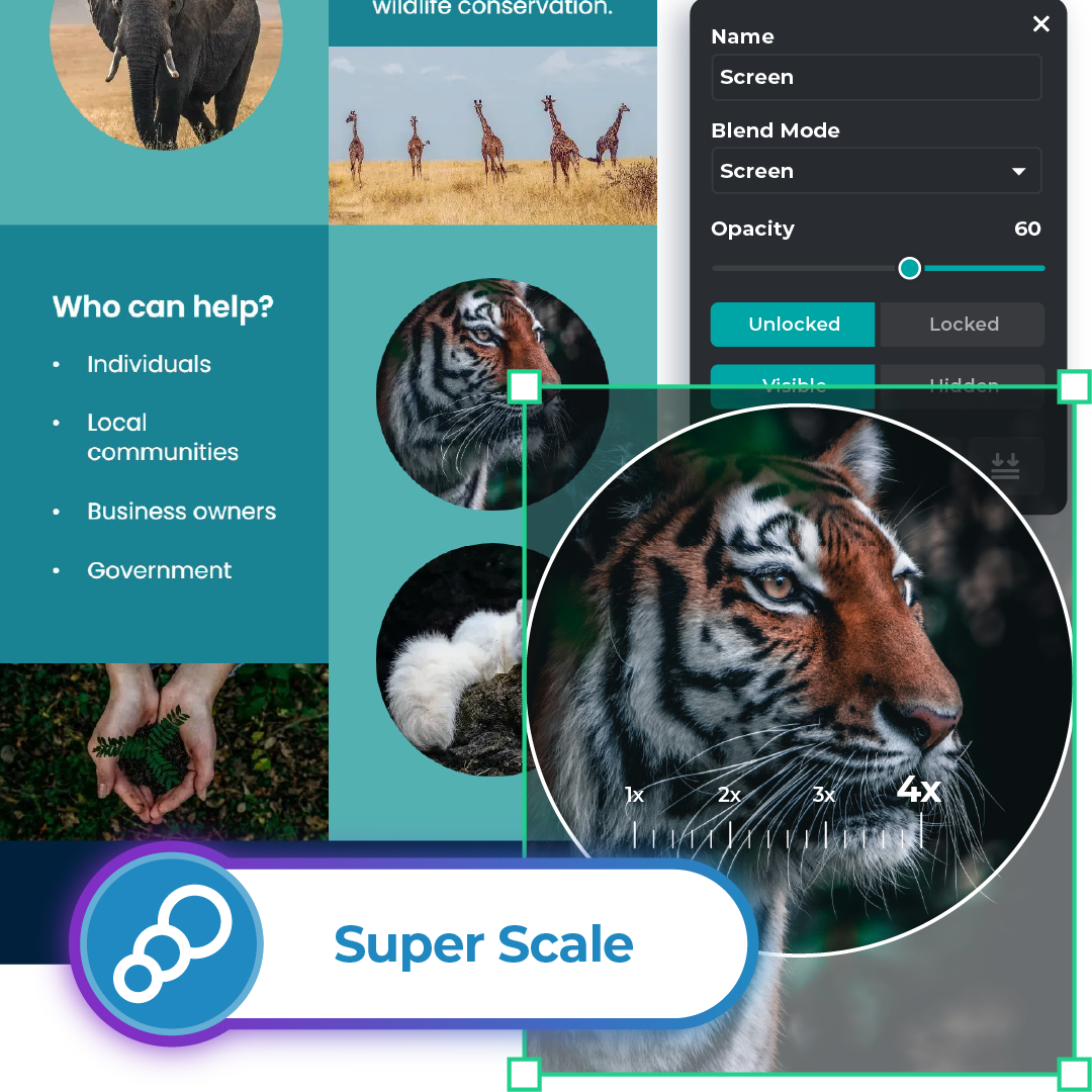 Super scale feature on a wildlife conservation infographic