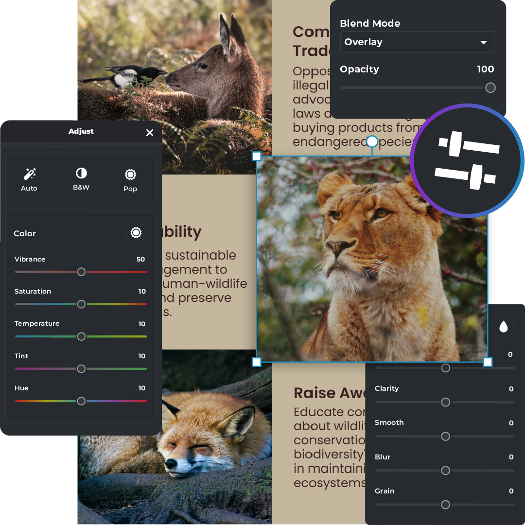 Adjusting image colors and blend mode in a wildlife infographic