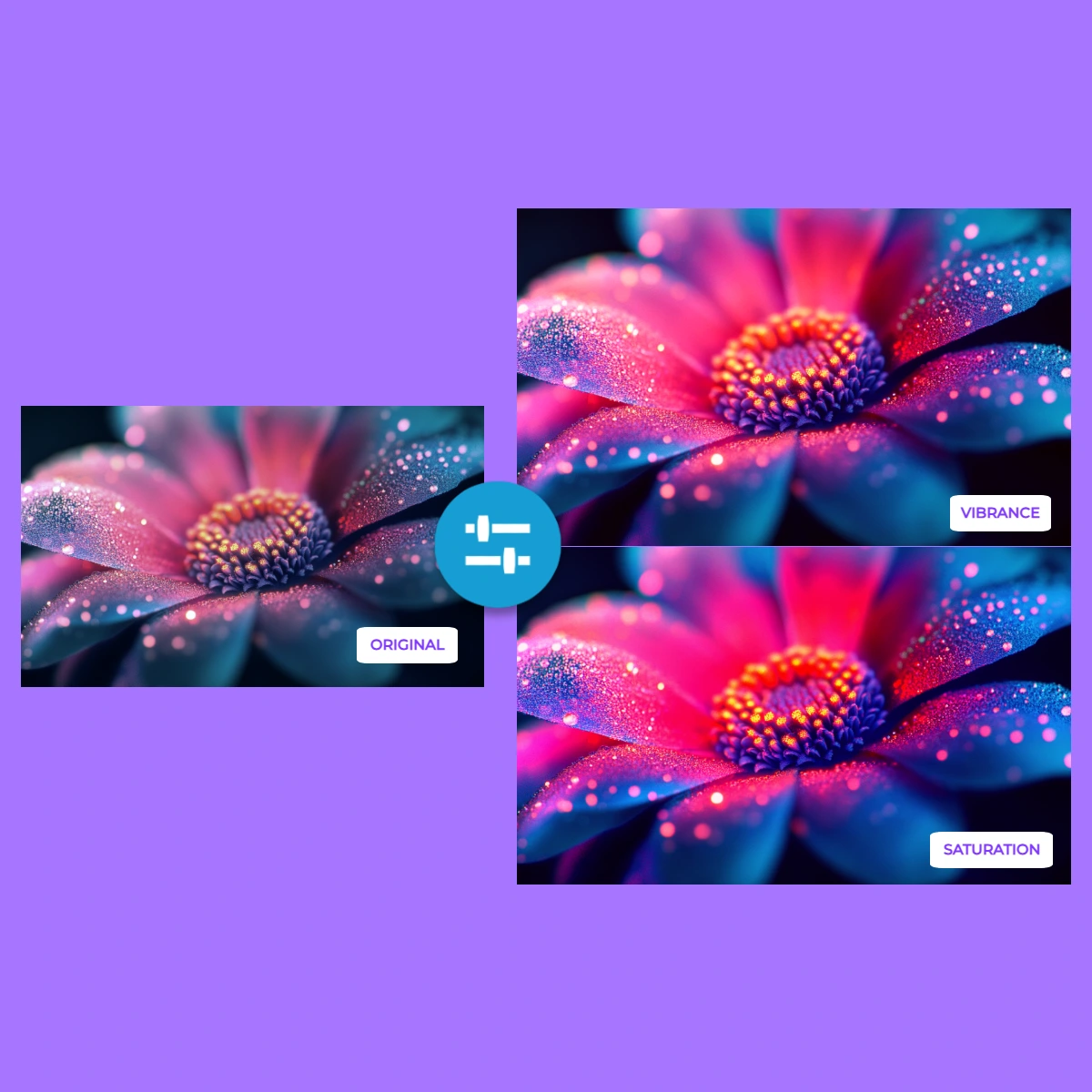 Comparison of a flower photo with original, vibrance, and saturation edits.