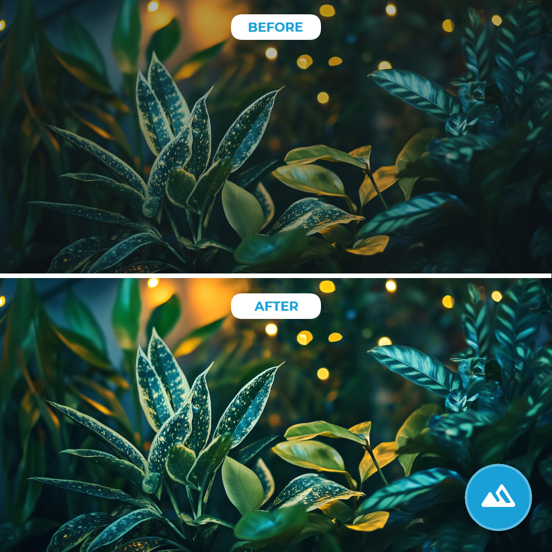 Split image comparing 'Before' and 'After' editing of plant leaves with enhanced lights background.