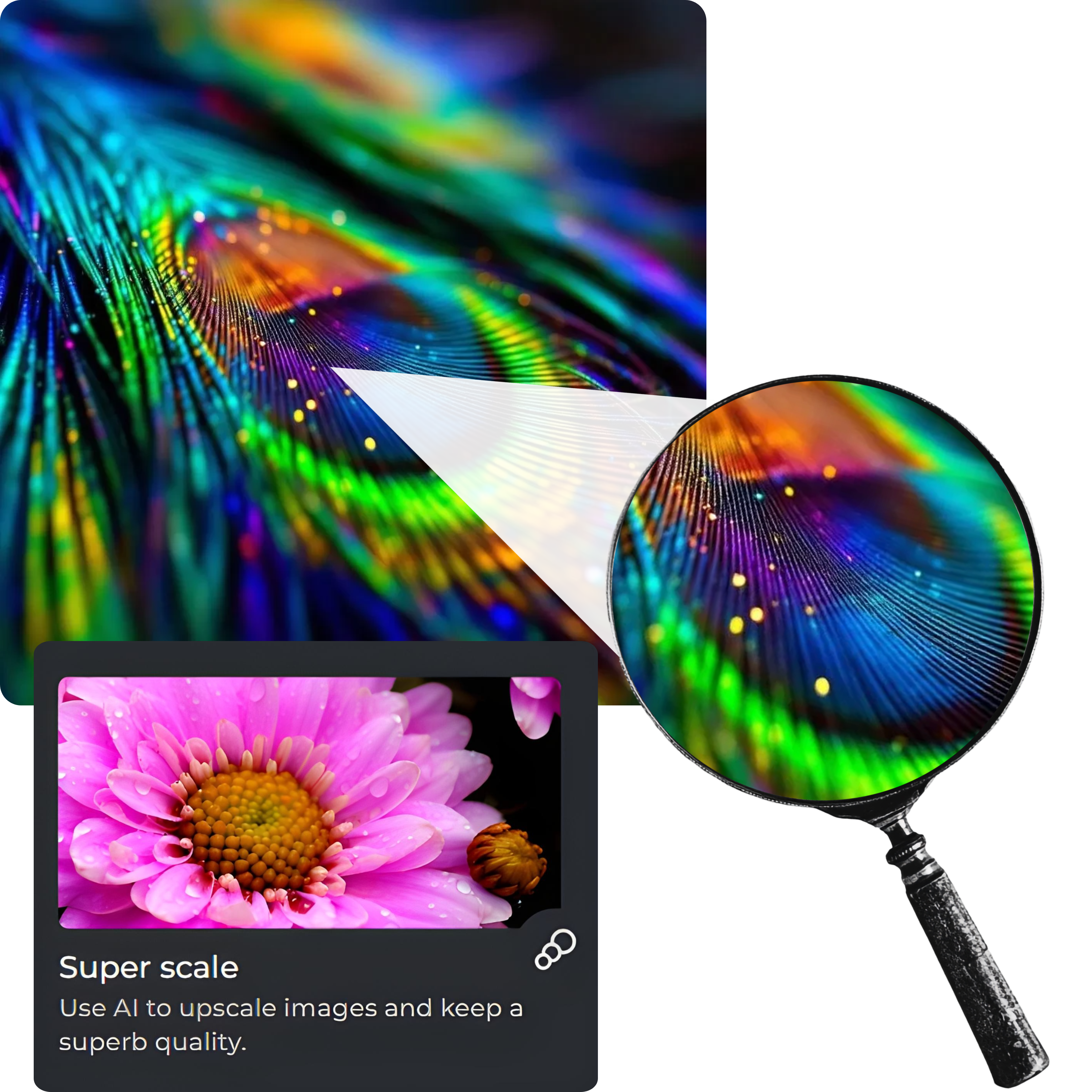 A magnified view of vibrant peacock feathers with iridescent blues, greens, and yellows, contrasted with a smaller image of a pink daisy. Text suggests AI image upscaling.
