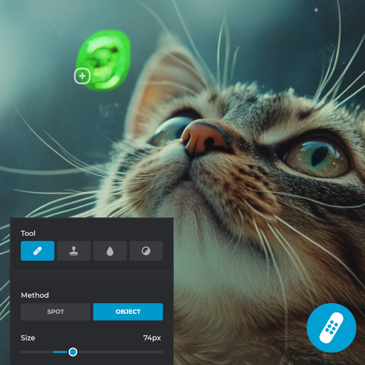 A close-up of a cat gazing upwards, with a digital editing tool panel for spot object removal visible in the foreground.