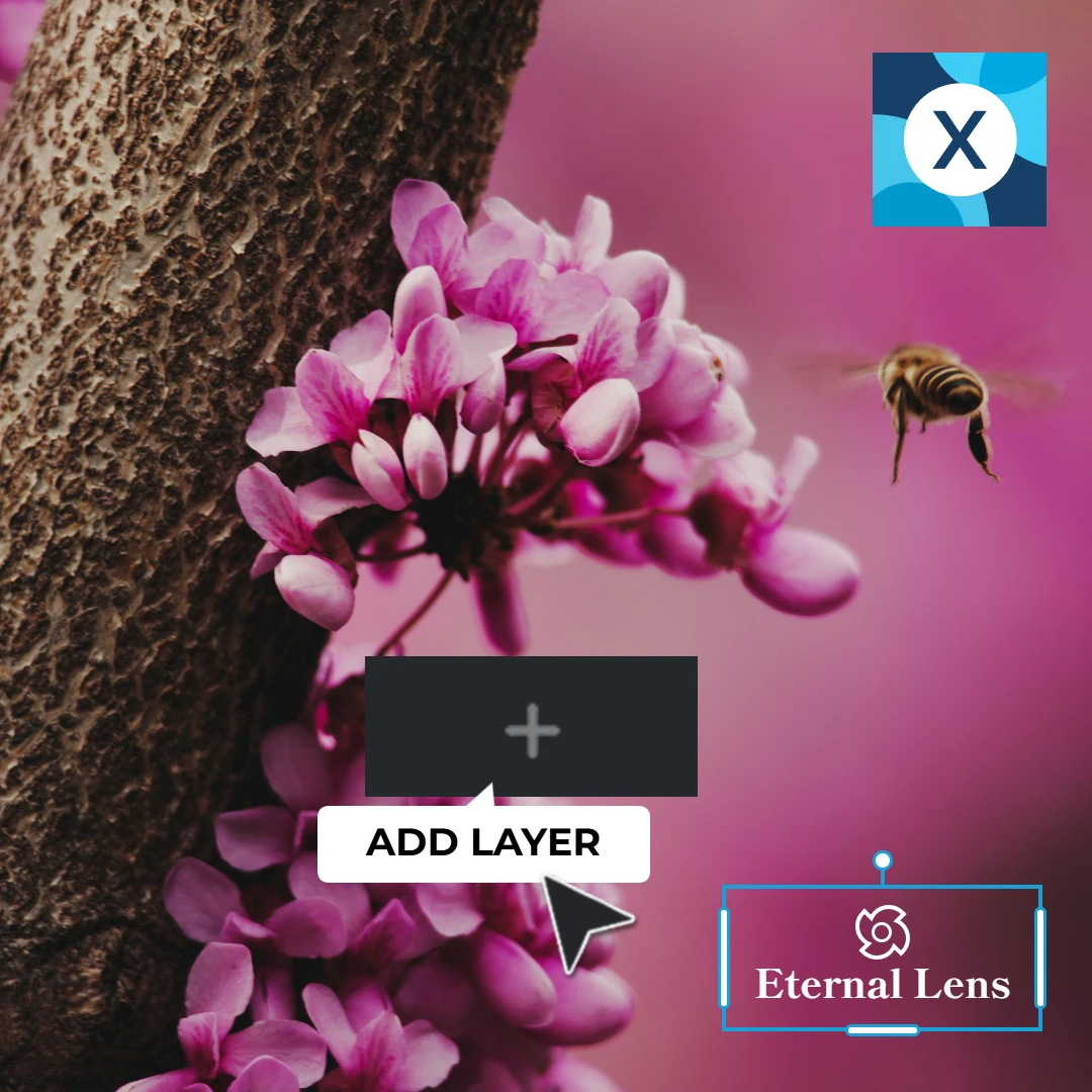 Close-up of pink blossoms on a tree trunk with a bee hovering nearby; features an 