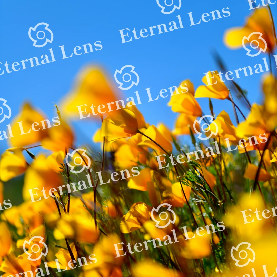 Vibrant yellow flowers sway gently against a clear blue sky, creating a cheerful and sunny landscape.